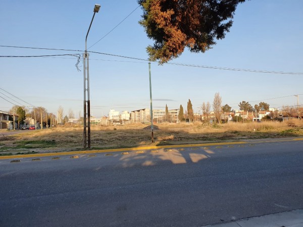 LOTES EN ALQUILER